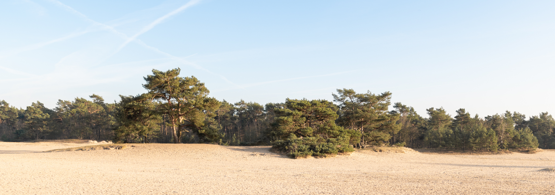 visual - hansvandebeek.nl